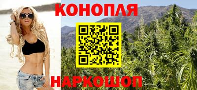 PSILOCYBIN Можга