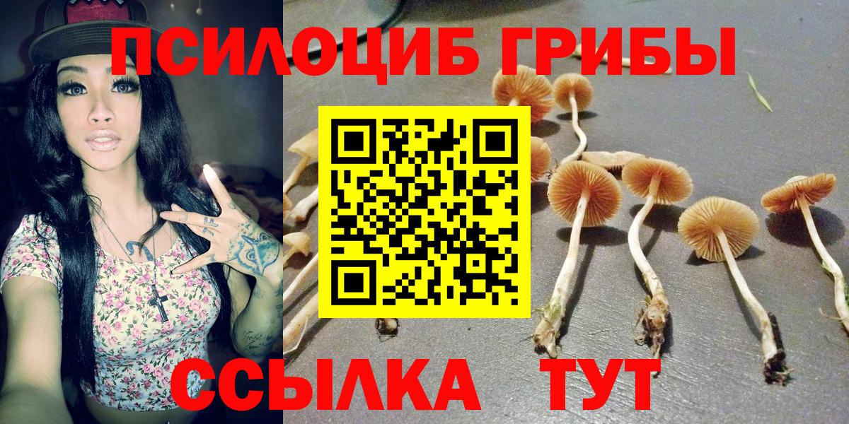 Псилоцибиновые грибы Cubensis  Вход с VPN  Псилоцибиновые грибы ЛСД  Вольск 