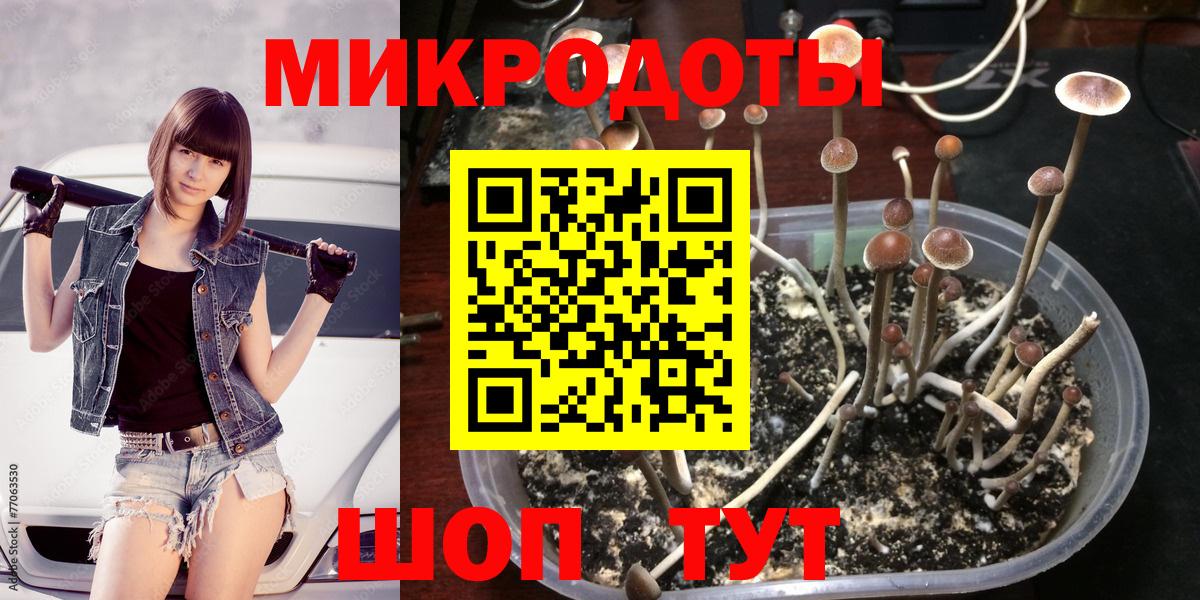 Галлюциногенные грибы мицелий  Вольск  Галлюциногенные грибы MAGIC MUSHROOMS 