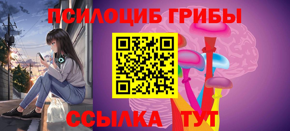 Псилоцибиновые грибы мицелий Вольск