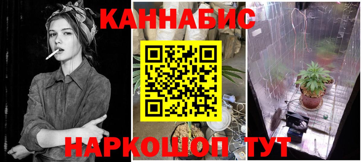 МАРИХУАНА планчик  Вольск  Конопля индика 